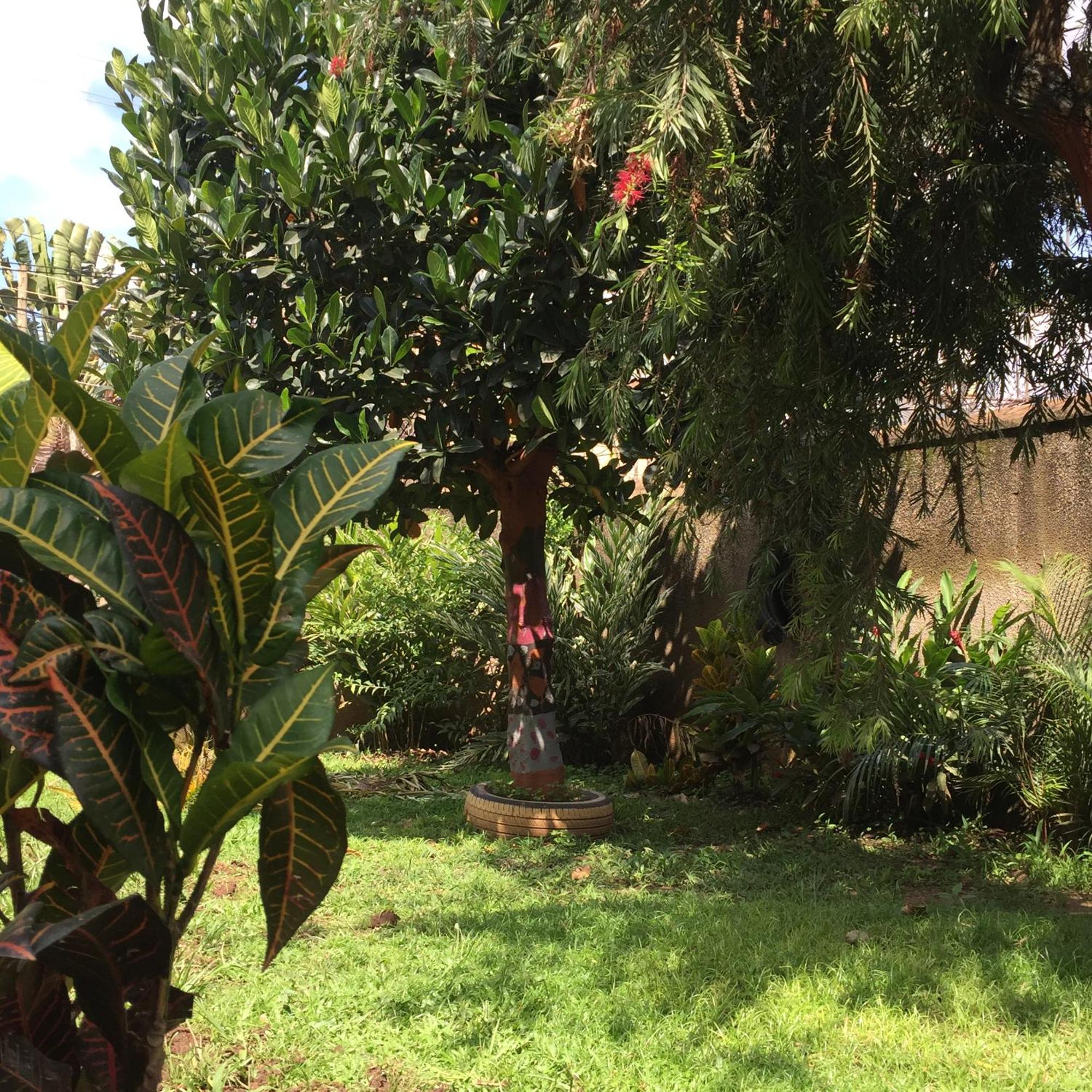 Tgs Homestay Kampala Buitenkant foto